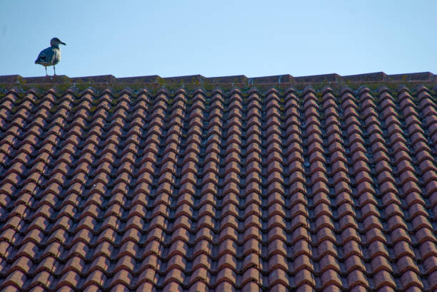 Bluescope colorbond trimdek roofing